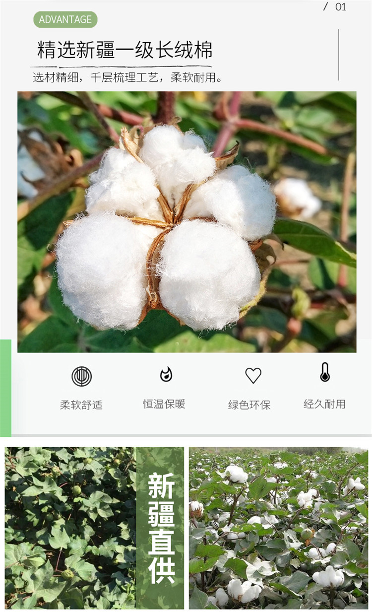 1新详情页_02.jpg