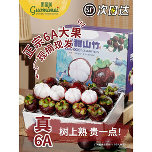 ̩��ɽ��5�����r�������ˮ��������10����F؛��S���]