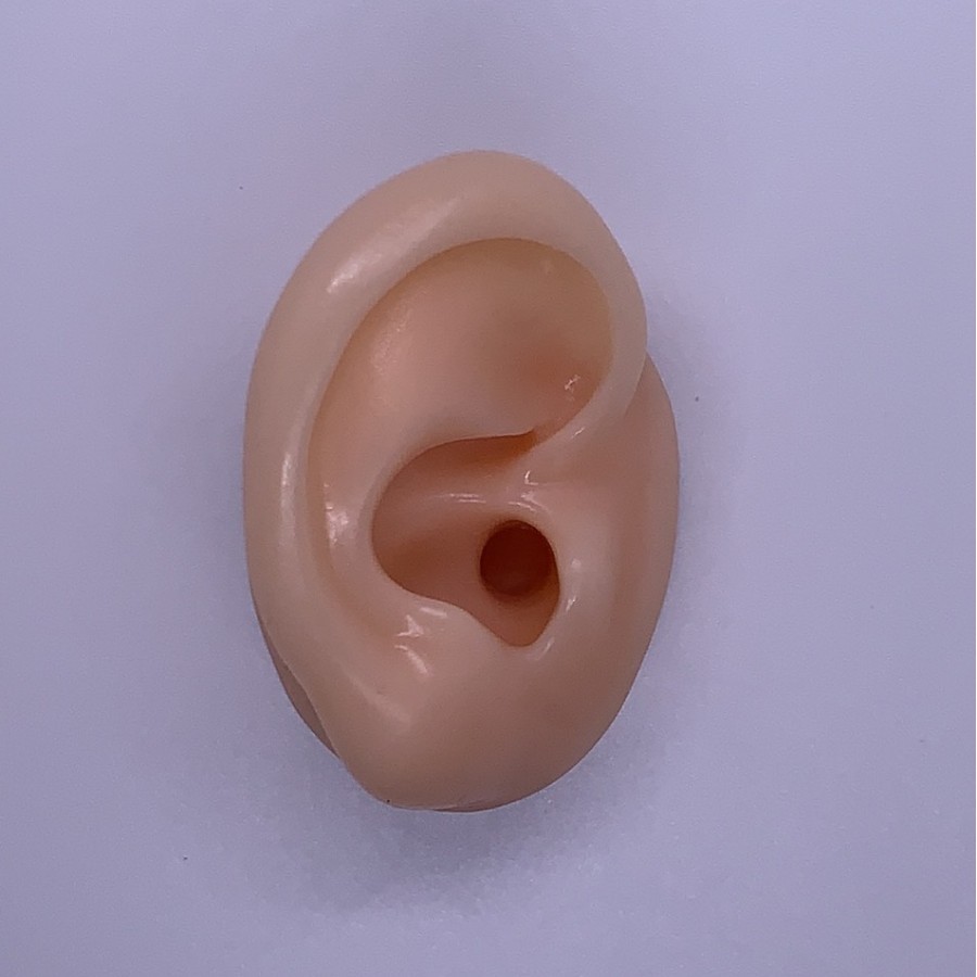 Falso modelo de oído de silicona suave simulación de oído humano espárrago del auricular accesorios médicos enseñanza pantalla ventas directas de la fábrica