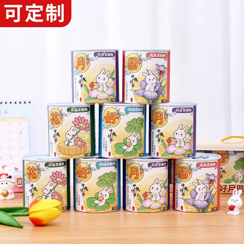 儿童罐装种植小盆栽生日创意礼品小学生盲盒伴手礼幼儿园奖品迷你