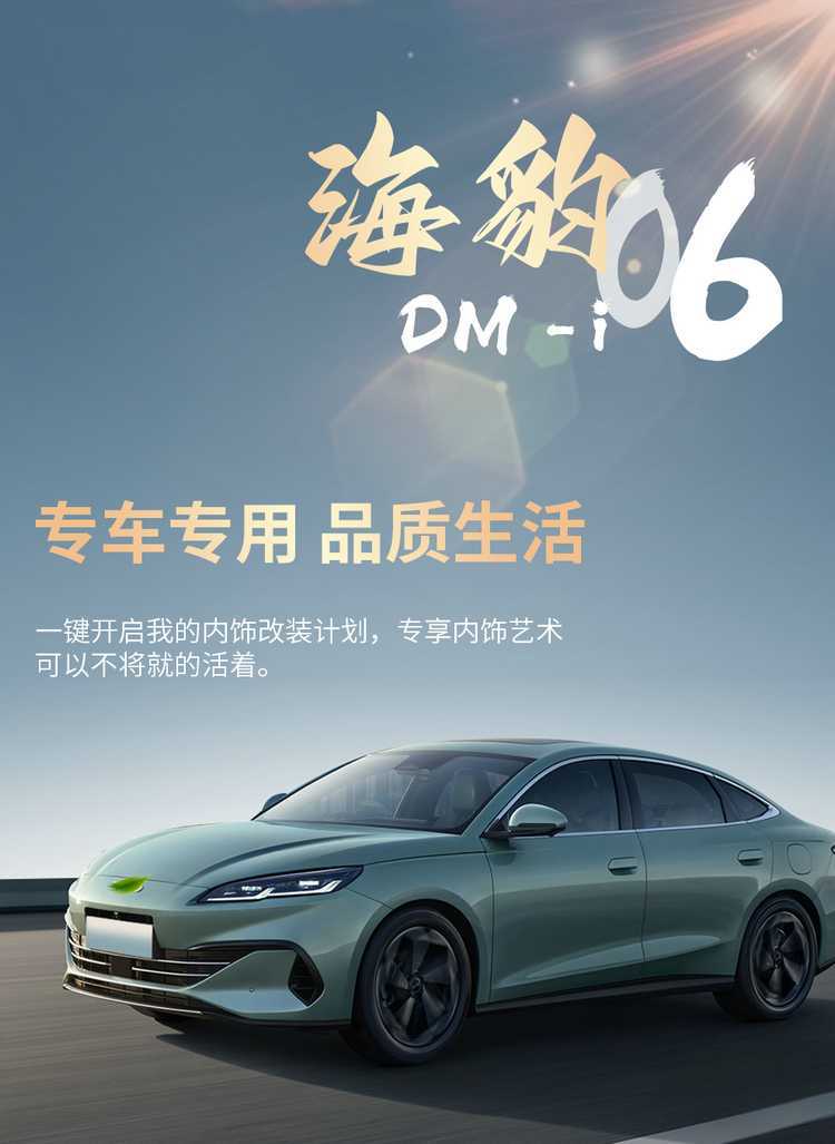 2025 BYD Seal 06DMI Special Seat Cover Full Seat Cover Four Seasons Car Cushion Leather Cushion