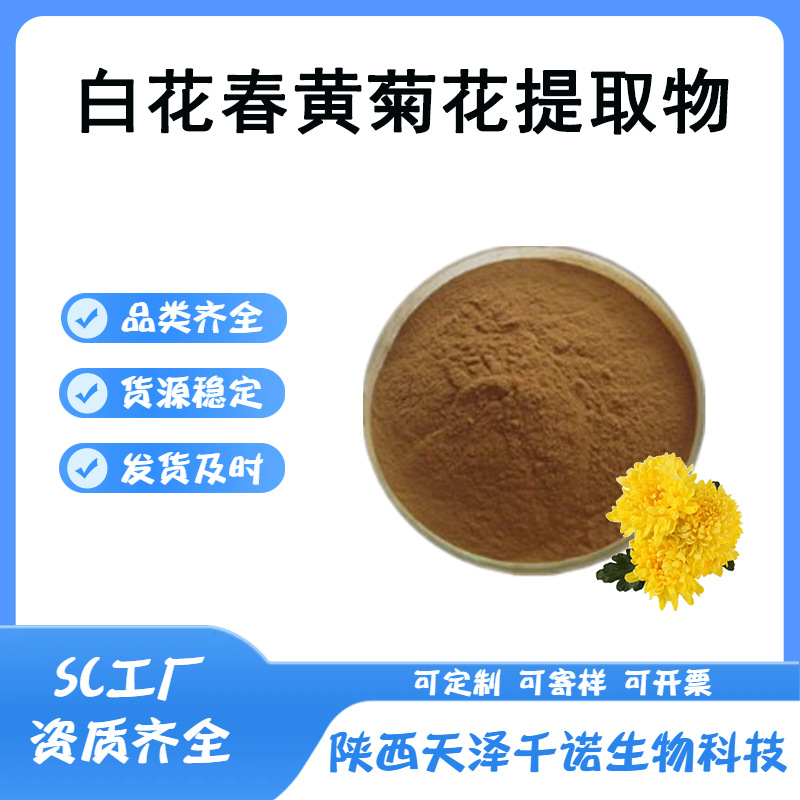 白花春黄菊花提取物10:1 30:1多规格 水溶性 比例提取物现货