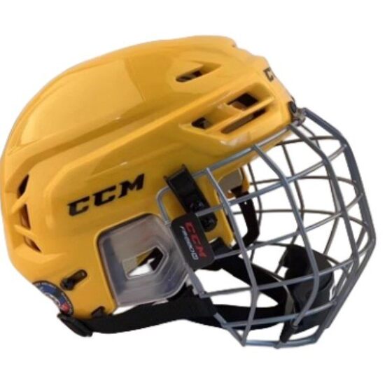 Ice hockey helmet land dry land hockey mask outdoor sports roller skating protective gear protective hockey helmet