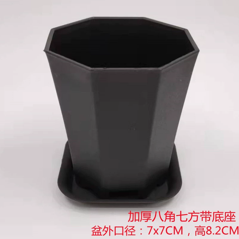 Горячие продажи водопроницаемая осьокорова Escargot Pot Pot Pot Плохой блюдо пластик пластик пластик пластик пласт пластинки Вставка Рули Пот Низкий