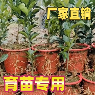 ���籭��������Ͱ �������猣������Ͱ ���P����������Ͱ�Ҿ�