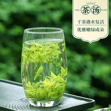 精选 小叶苦丁茶 清爽嫩叶 野生苦丁茶 正宗 花茶 养生茶一件代发