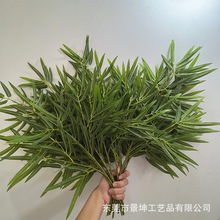 ���������~���l����辰�[���������~�������L��ˮë��Gֲ������