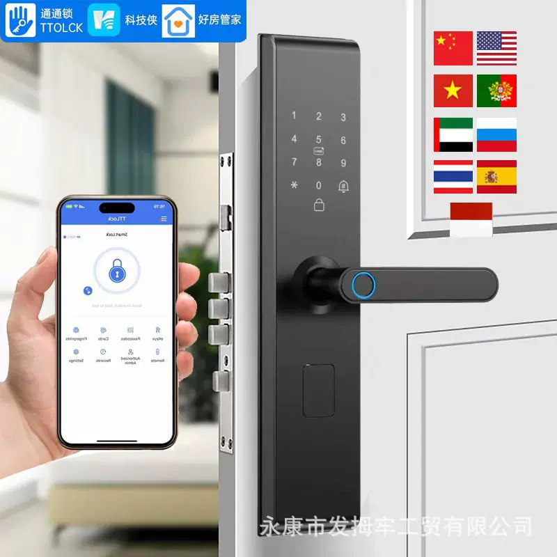 跨境爆款批发公寓出租电子指纹锁木门办公室智能密码锁涂鸦通通锁