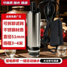 小型电动抽水泵家用220v直流不锈钢自吸专用潜水泵抽酒泵12V源头