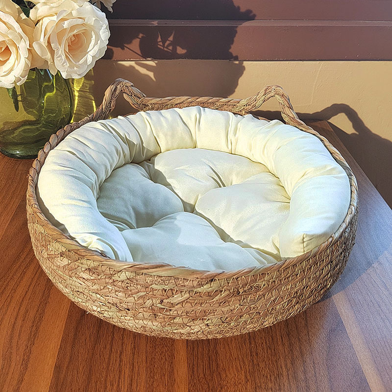 고양이 귀 + 흰색 PP면 패드 + 베개