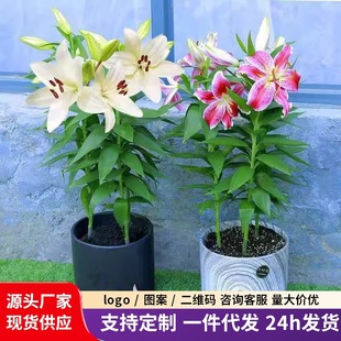 �ļ���ˮ�ٺϷN��ѿ�҃����Ի��ܰٺϷN��������l�������ֲ��