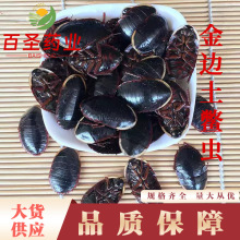 金边土鳖虫土鳖土元金边土鳖虫当季新货产地货源量大从优中药材