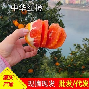 Ѫ�����l���A�t���wĚ�ȼt��t�ĬFժ���r���䑪��ˮ����֭����