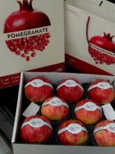 ����&middot;ʯ����b��ͻ��˹ܛ��ʯ������YƷ��UV��ˇˮ���Y�пպ���