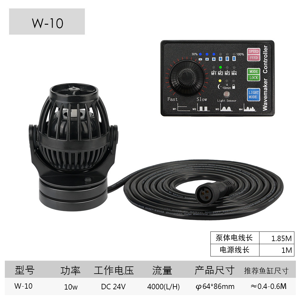 W10.jpg
