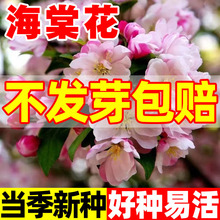 ���Ļ��N�ӷ��޺��Ļ��N�������҃����̨�����������ļ��׷N����