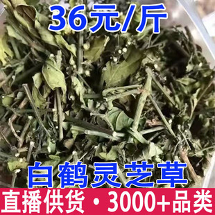 ���Q�`֥ �_�� �ɲ� ���Q�`֥�����l���l