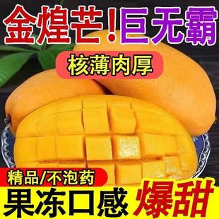 �F؛����Խ�Ͻ��â����â��Ęâ��â�����˟o�z���r�Ꭷˮ�����l