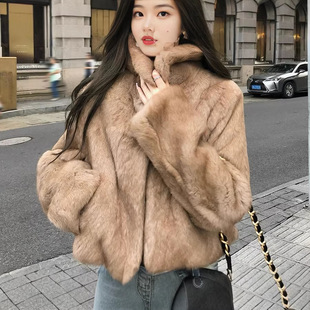 �羳2026���궨Ⱦ�й�˪ɫ��ëƤ��������Ȼ��Ƥ�̿��ϖ|���X�ǹ�