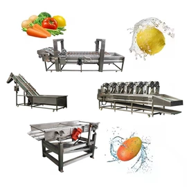 休闲食品加工;果蔬加工设备;带式干燥设备