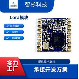 RF模块/低功率远程收发模块/LoraWan模块/Lora模块