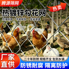 镀锌防锈铁丝网养鸡围栏网果园网格防护网圈地护栏家用菜地钢丝网