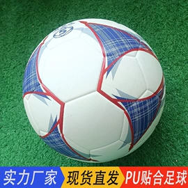 足球;篮球;排球