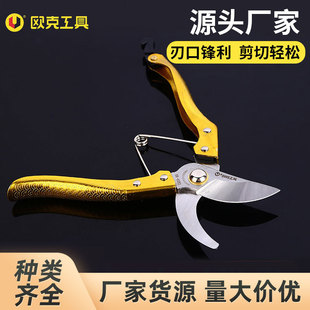Oak manganese steel spray plastic fruit tree shears gardening garden pruning shears labor-saving coarse branch shears garden tools garden branch shears