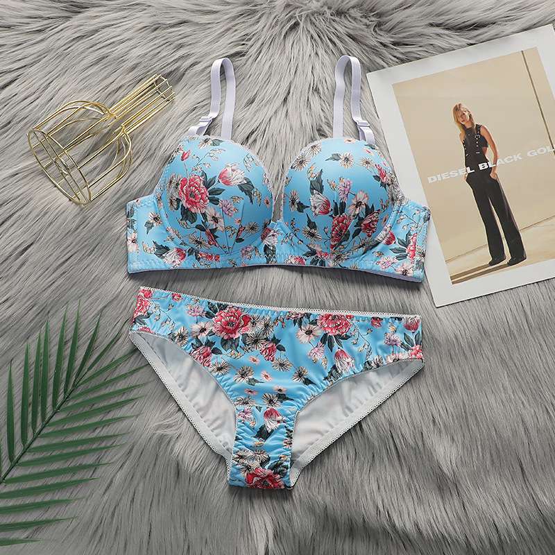 European and American Wholesale Lingerie Sets for Women, High-Quality Young Girl Bras with Underwire, Sexy Printed Bra Sets