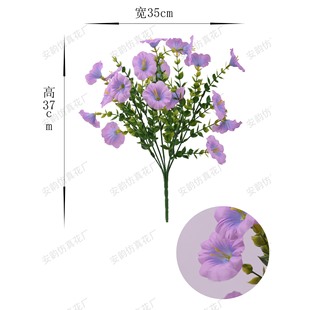 7��35Ŀ�ȼ�����ţ���Ҿ��b��滨�Y��羳��̌������l�F؛