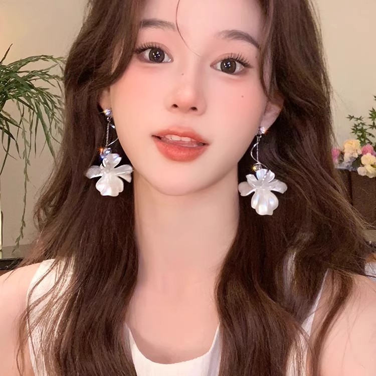 甜美气质长款流苏花朵耳环轻奢小众高级感精致大锆石耳钉网红耳饰|undefined