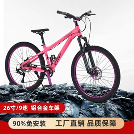 其他配件;自行车轮胎;山地自行车