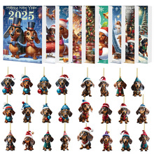 羳2025}QRӋrҾb}QäпɐDc