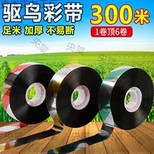 �s�B��B���B��������B�����r���ڼ����̨�O����˲ʎ��W�⎧��