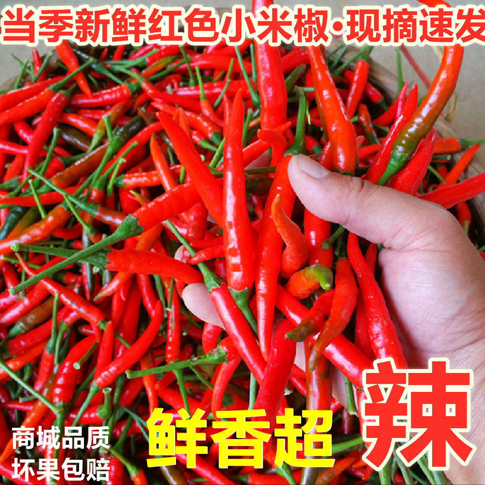 广东茂名现摘小米椒辣指天椒超辣朝天椒新鲜蔬菜红辣椒泡椒剁椒