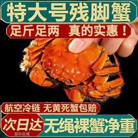大闸蟹;鸡肉类