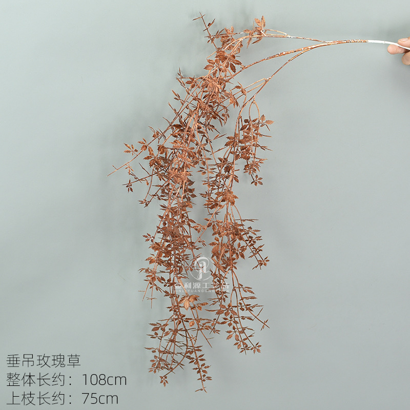 매달려 장미 잔디 다크 브라운