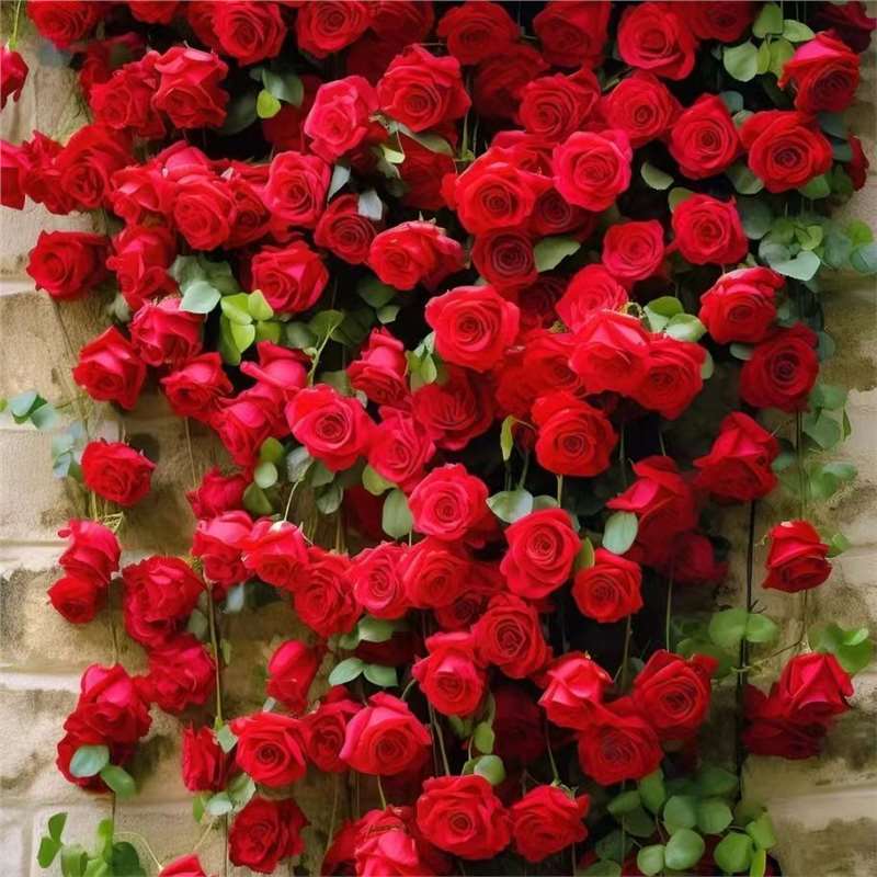 Semillas de flor de rosa, flores grandes, rosas, enredaderas, semillas de flores de rosas, cuatro estaciones, jardín, enredaderas, plantas trepadoras, semillas de flores