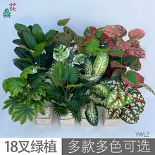 18��Gֲ ���yע�z�������� ���ⱳ���b��� ���̈@���쾰�ٻ�