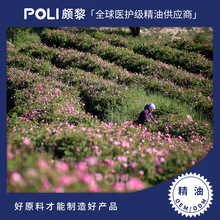 土耳其进口大马士革奥图玫瑰精油原料颇黎进口精油面部护肤精油