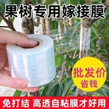 嫁接专用膜小卷PE缠绕膜果树嫁接透明拉伸膜树苗包扎外卖封口膜