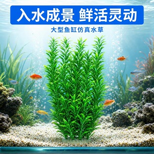 52cm��������ˮ���~���bGֲ�羳���u���R�d�����������ϼ�ˮ��