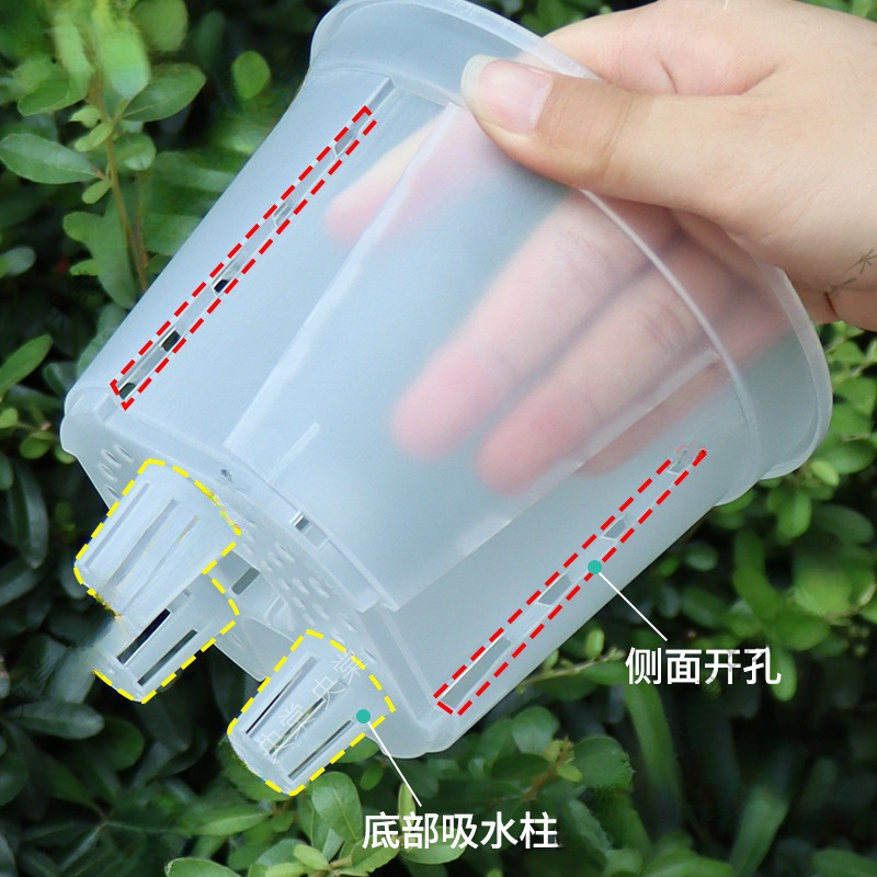新しい水貯蔵透明青山ポット自己吸水怠惰なポット根制御ポットアマリリス胡蝶蘭プラスチック植木鉢卸売|undefined