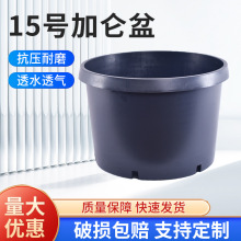 源头工厂生产批发圆形硬质注塑15加仑盆外贸种树园林苗圃塑料花盆