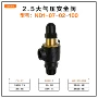铁路nd1-07-02-100机车车辆安全阀
