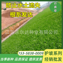 ��ϲ�ݷN�ӌ��~�������۲݌��~ȸ�޹������͟��ͺ���β���o�²ݷN