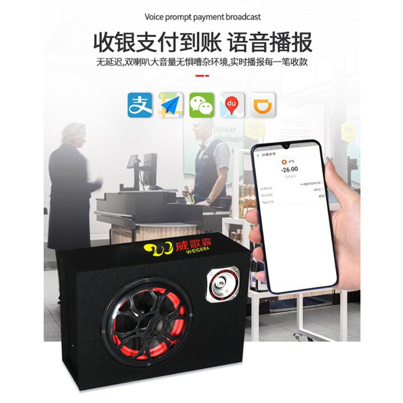 Factory Direct Sales 56810inch Square Cabinet 12V24V220V Bluetooth Card Audio Car Subwoofer Car