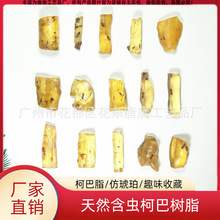天然化石标本迷你含动物昆虫柯巴树脂柯巴脂原石仿琥珀教学儿童节