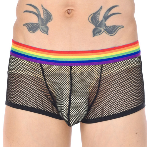 Men's Low-Waist Sexy Sheer Underwear Rainbow Belt Breathable Straight Leg Panty Sexy Sheer Erotic Lingerie
