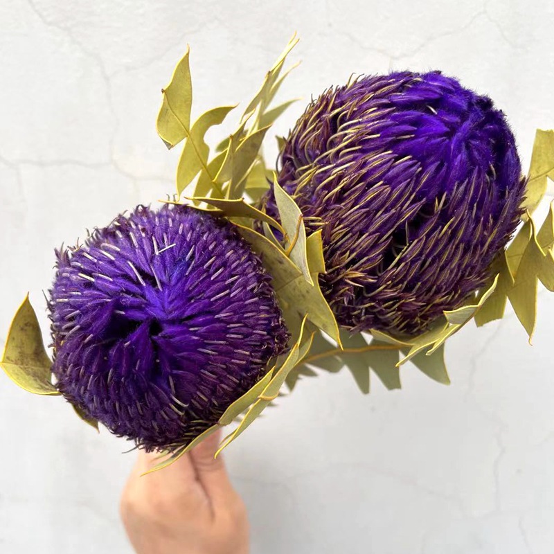 微信图片_20210321203359